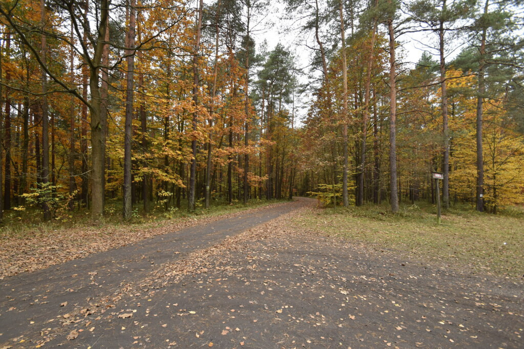 Działka Sprzedaż Rybnik Ochojec