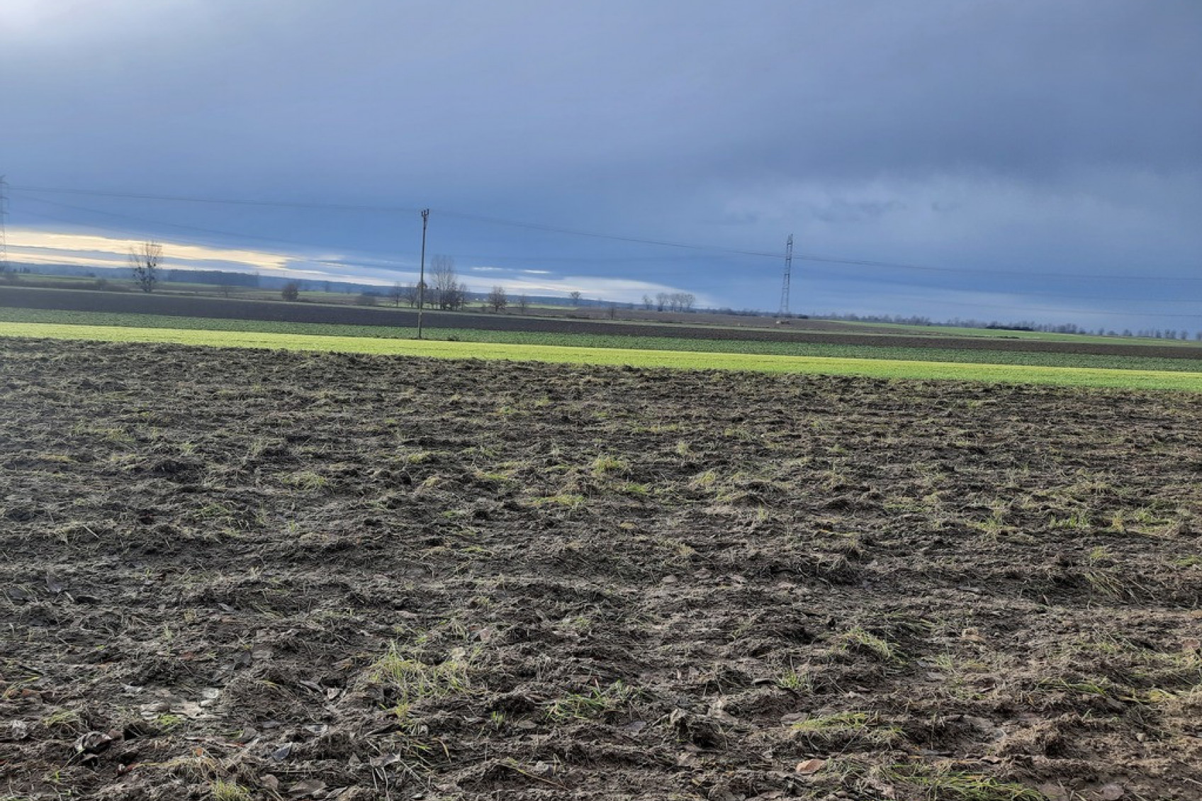 Karczów Dąbrowa Opolski Opolskie Biuro Nieruchomości