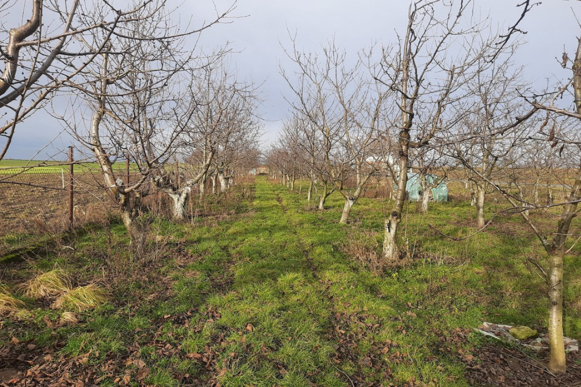 Działka Sprzedaż Karczów