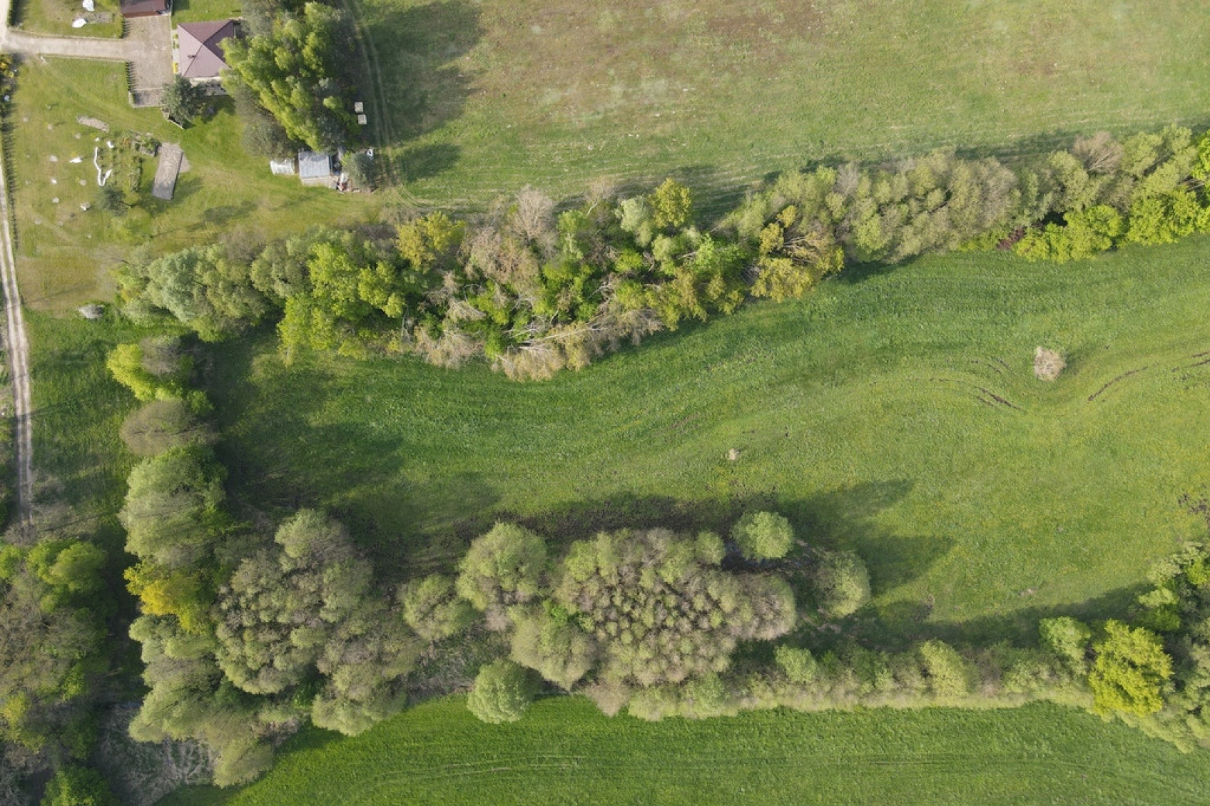 Działka Sprzedaż Ostrowina