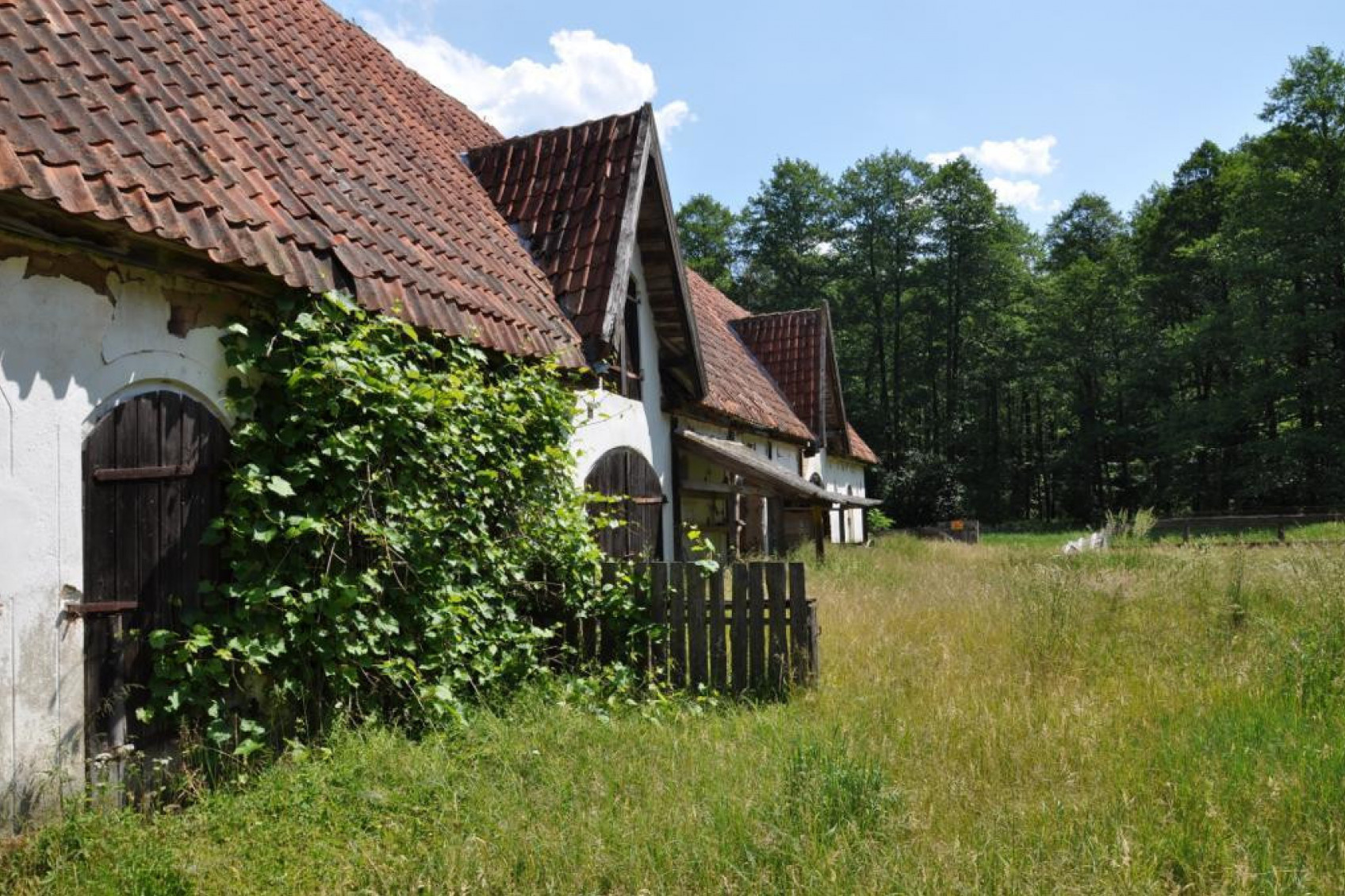 Działka Sprzedaż Rozogi