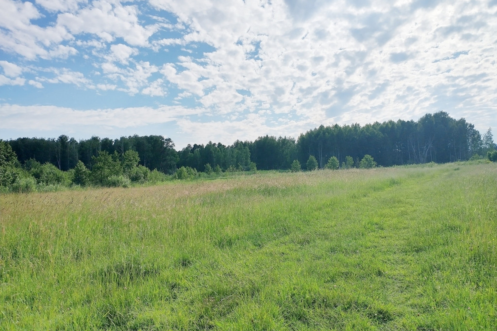 Działka Sprzedaż Białystok Dojlidy Górne