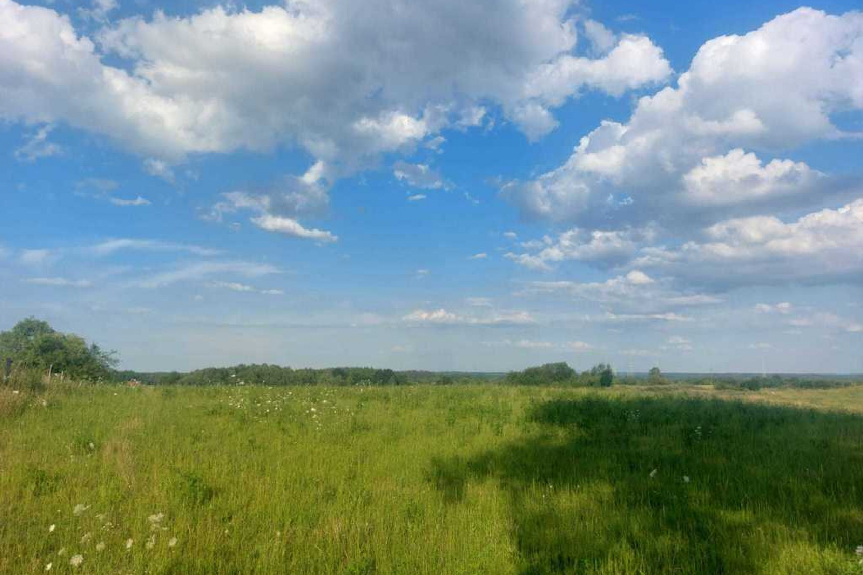 Działka Sprzedaż Olsztyn